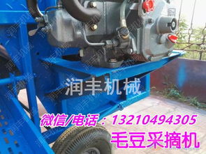 润丰柴油毛豆脱荚机 人工20倍毛豆采摘机 摘毛豆角干净机